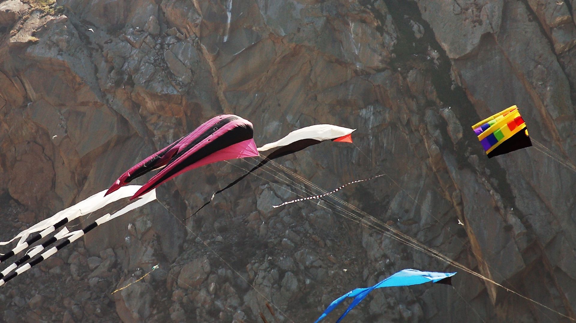 Kite 1 in the wind.jpg